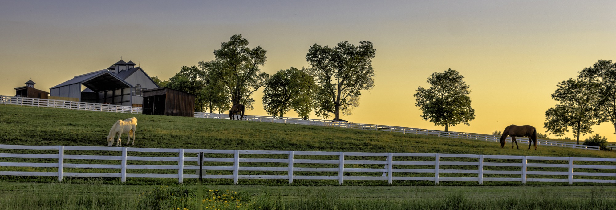 Horse Farm with Two Horses in a Pasture at Sunrise